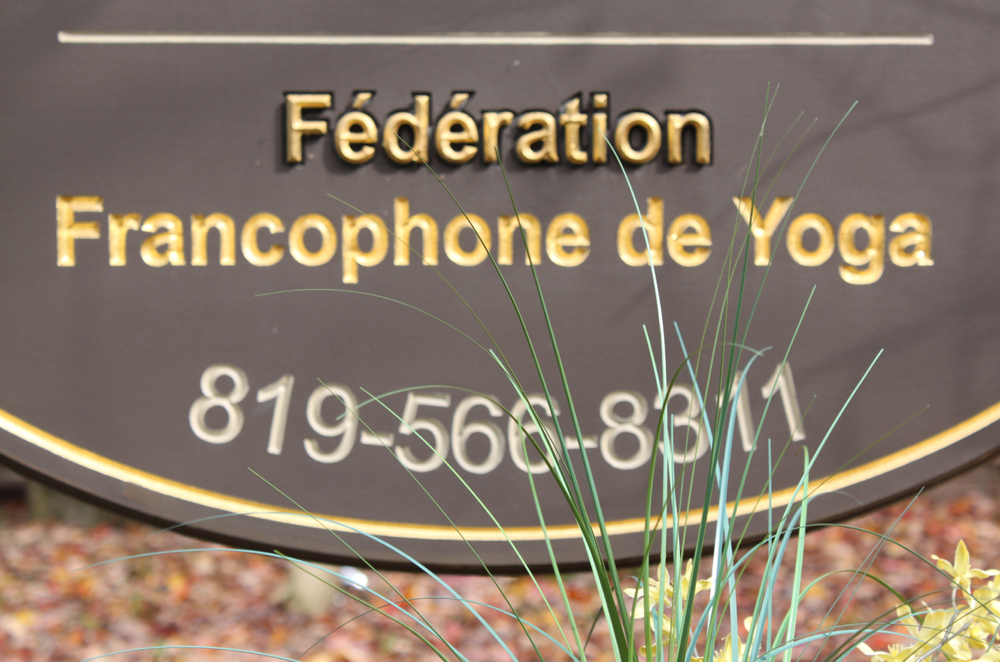 23oct2011 IntroAfficheFFY