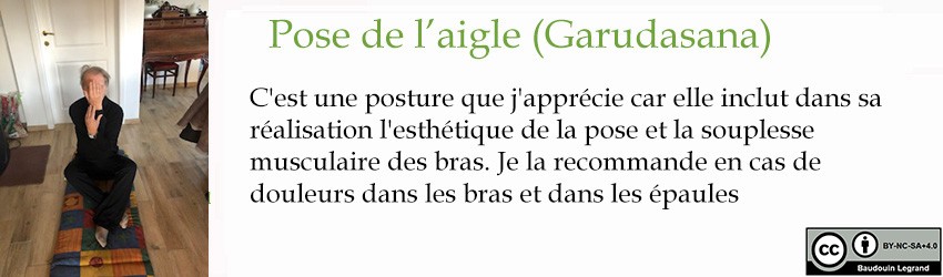 C3 BaudouinLegrandGarudasana250x850