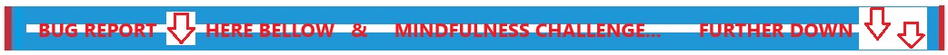 BugChallengeHere2